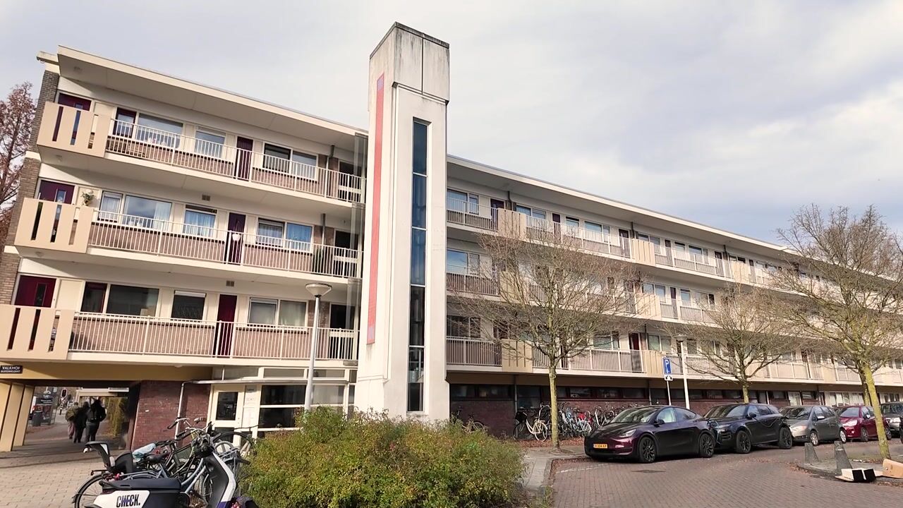 Video van Valkhof 46