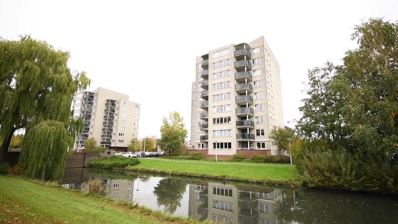 Video van Zeelandiahoeve 89