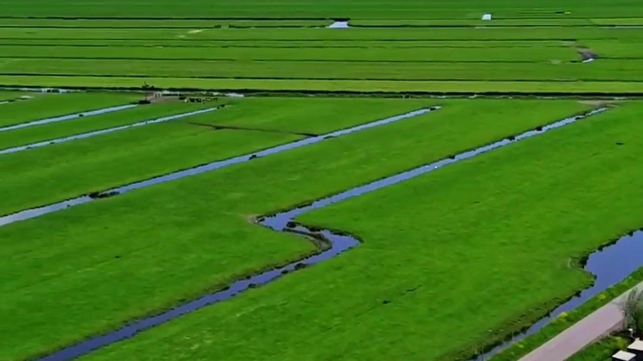 Video van Kraaiennest 7