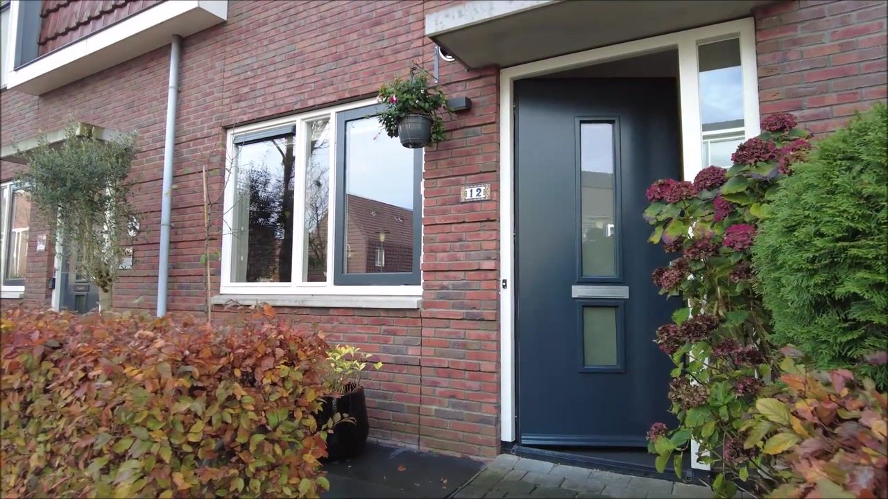 Video of Pijlkruid 12