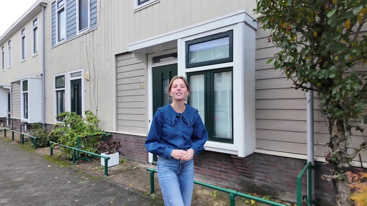 Video of Theo van Doesburgstraat 87