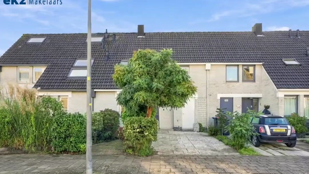 Video van Elbe 17