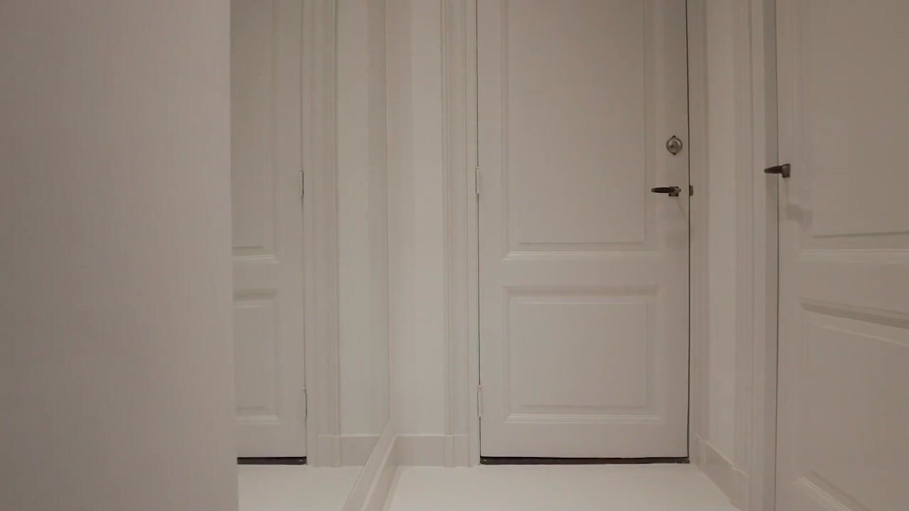 Video van Van Spaenstraat 8