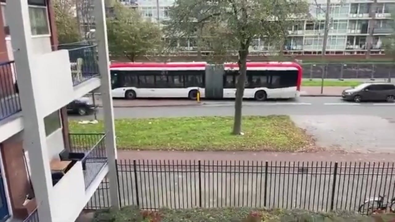 Video van Hengelolaan 603