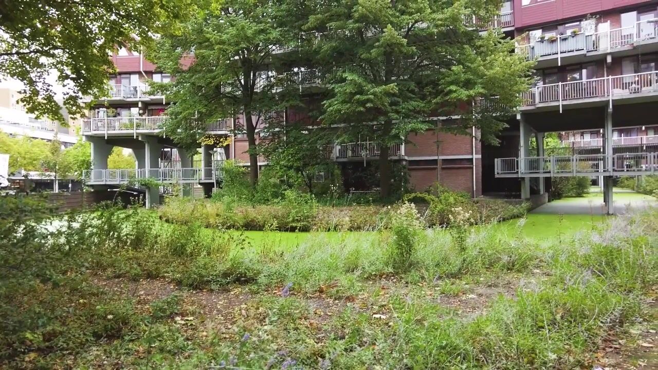 Video of Stroveer 187