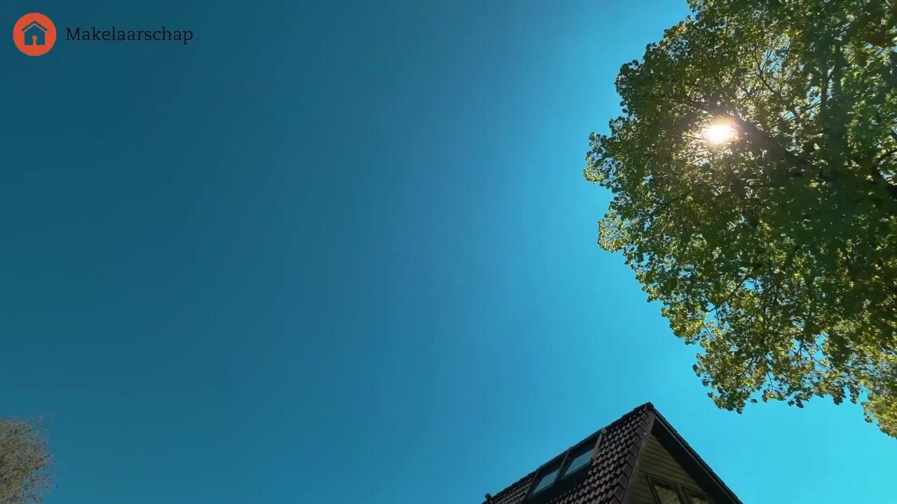Video van Reggeplantsoen 6
