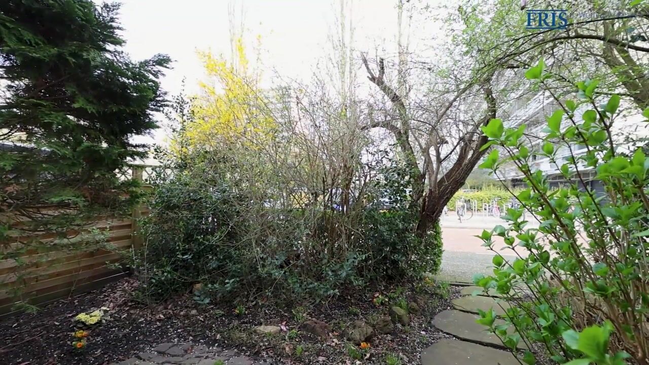Video van Tholenseweg 7