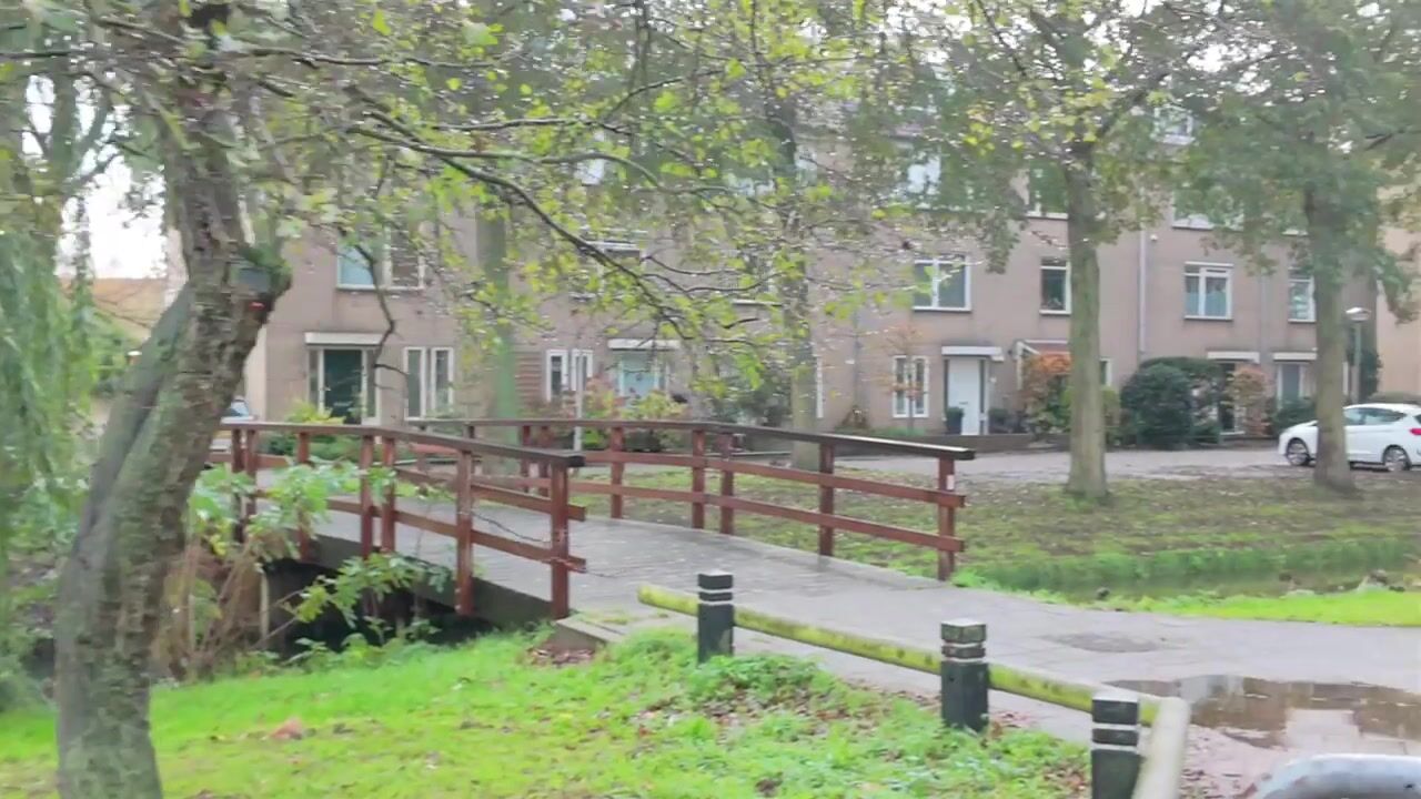 Video of Zandbank 26