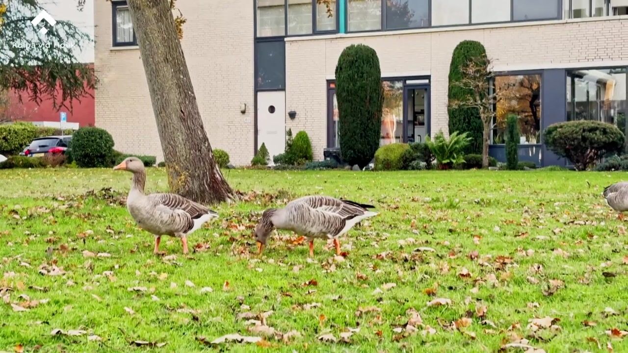Video van Marie van Eijsden-Vinkstraat 351