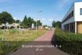 Bekijk video