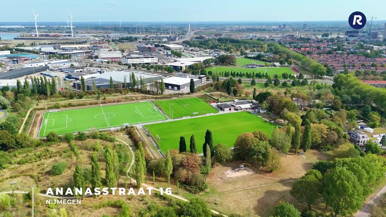 Video van Ananasstraat 16
