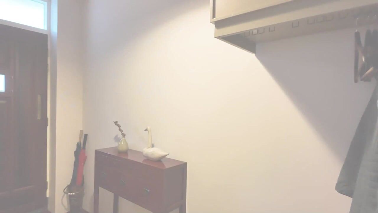 Video van Maatschapslaan 6