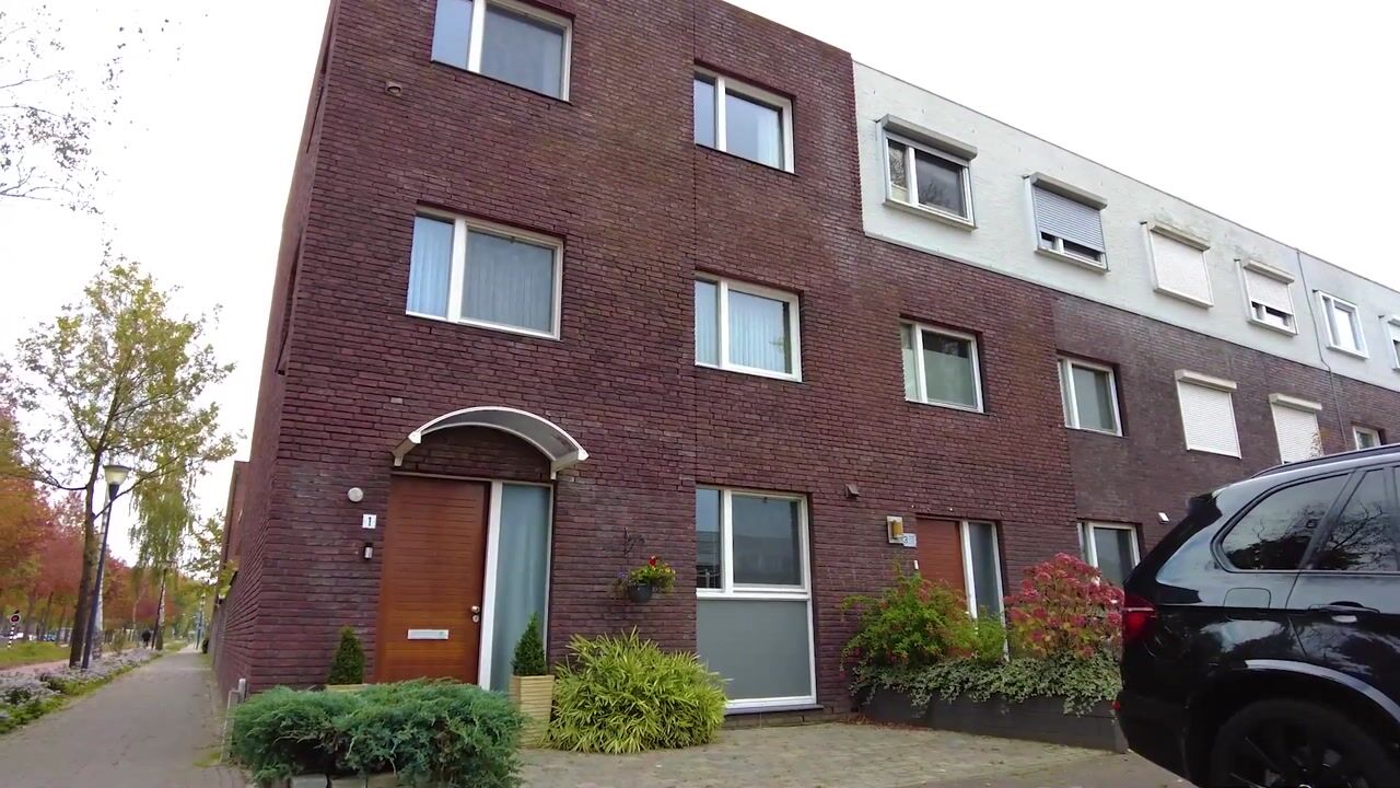 Video van Zandroos 1