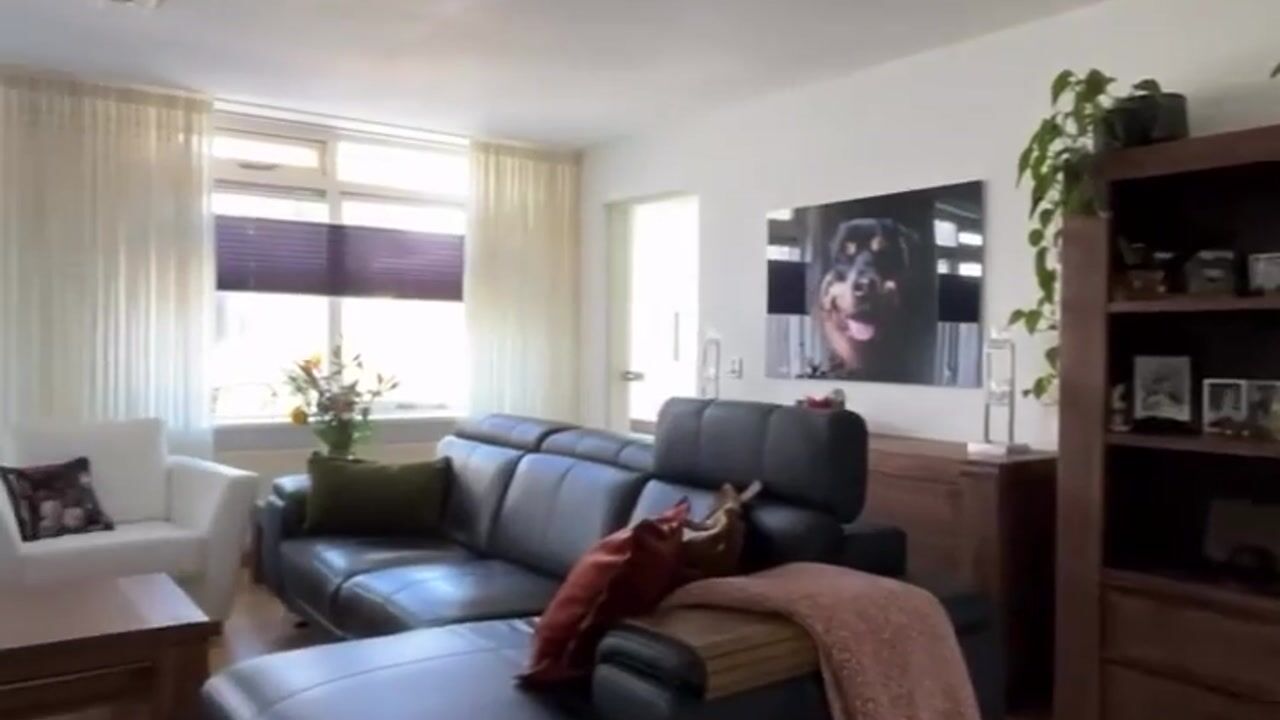 Video van Meestoof 13