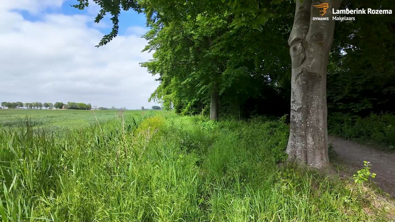 Video of Ripperdadrift 63