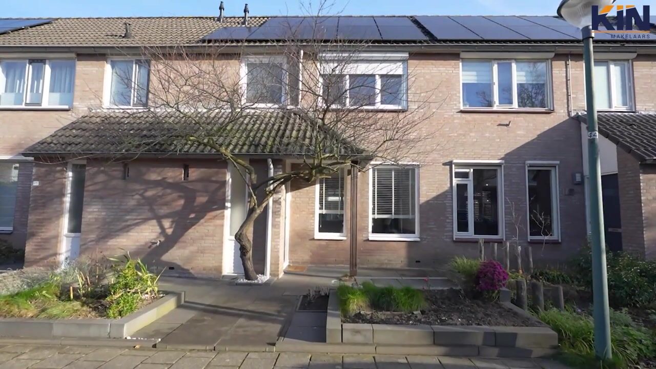 Video of Zomerland 67