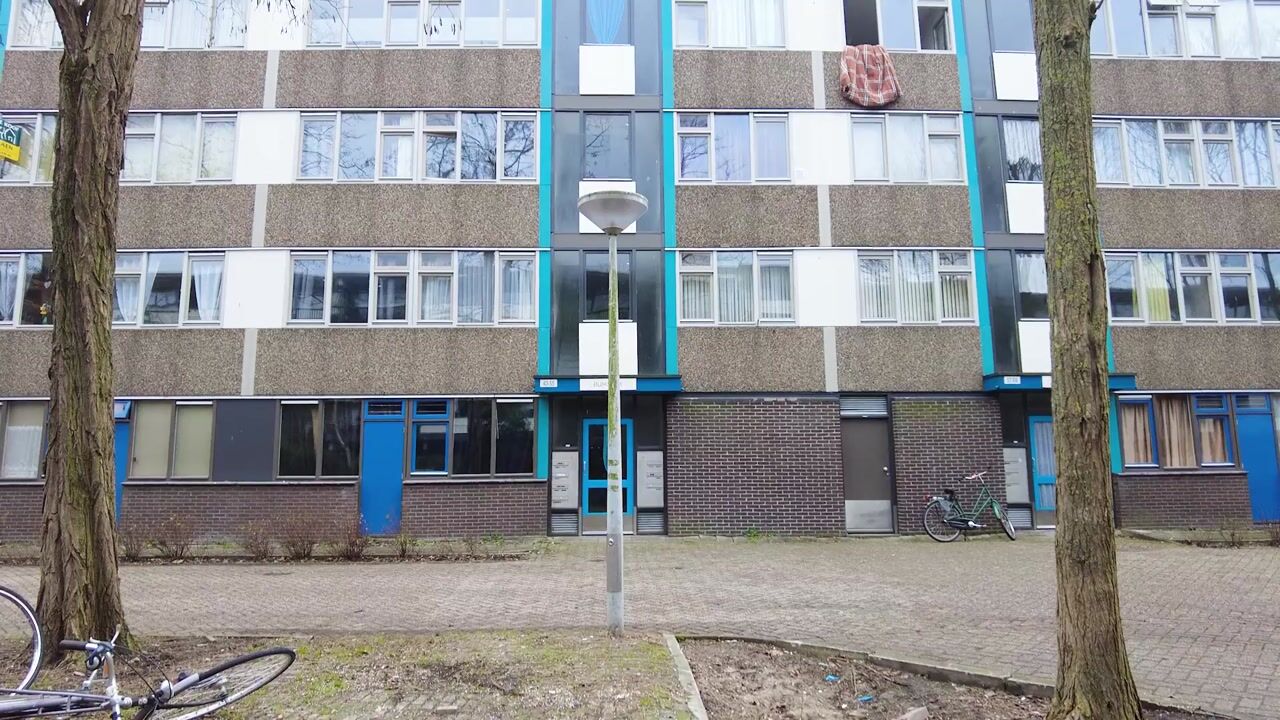 Video of Spinaker 49