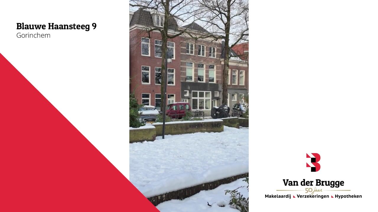 Video van Blauwe Haansteeg 9