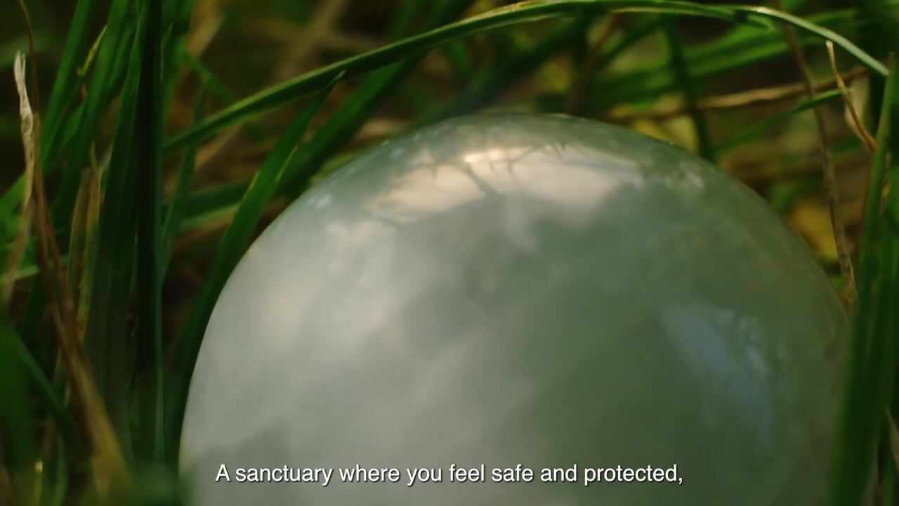 Video of Type B1 (Bouwnr. 20)