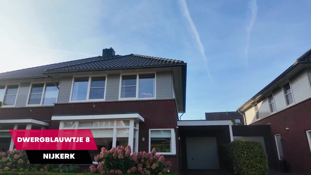 Video van Dwergblauwtje 8