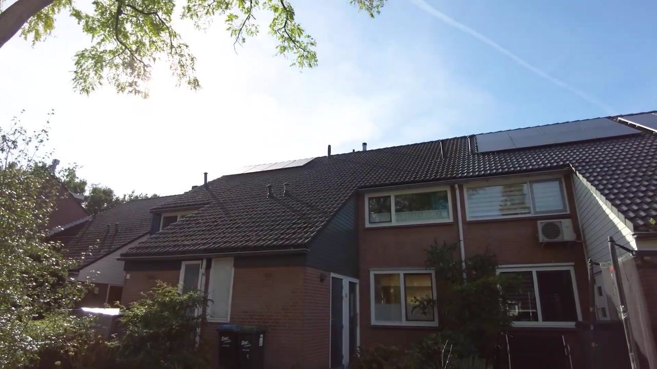Video of Groeze 11