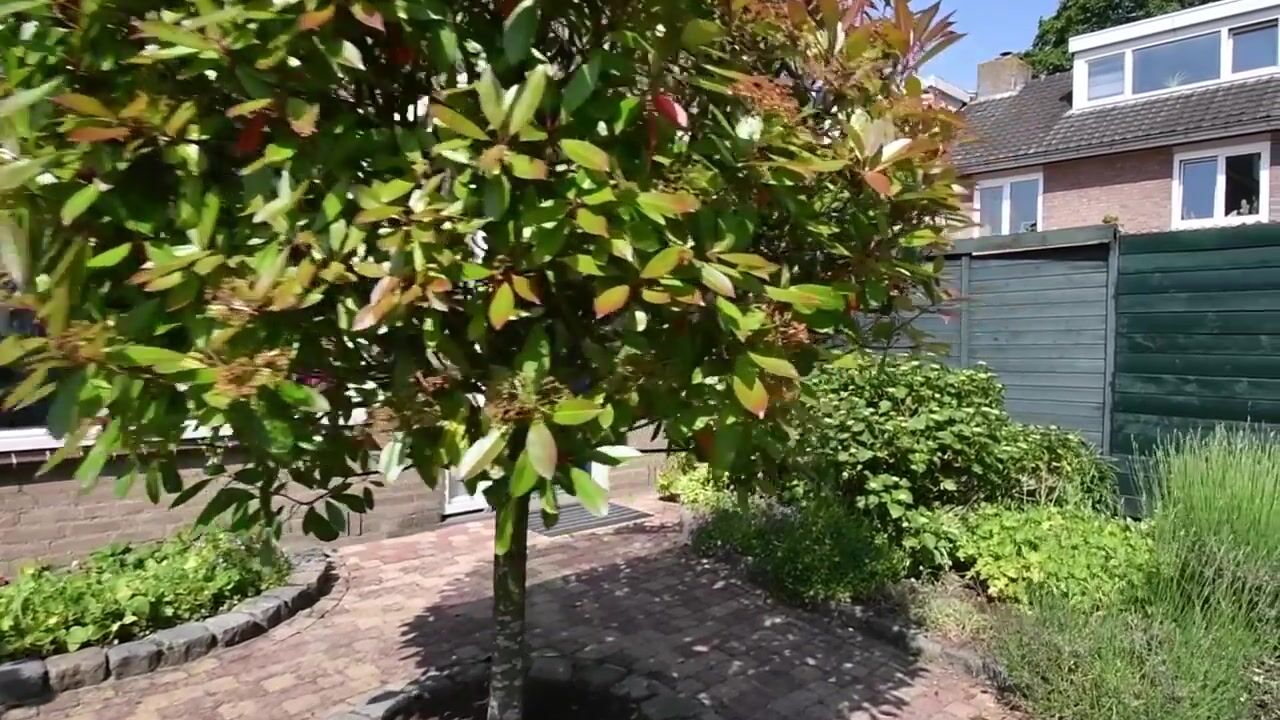 Video of Smaragdstraat 36
