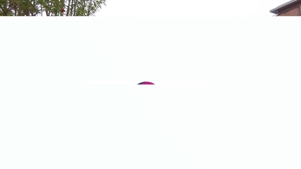 Video van Den Hof 52