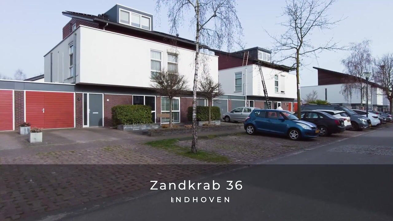 Video van Zandkrab 36
