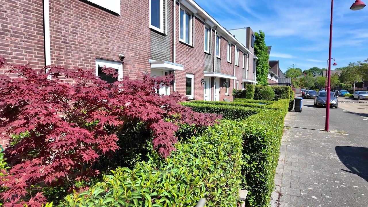 Video van Leibeek 20