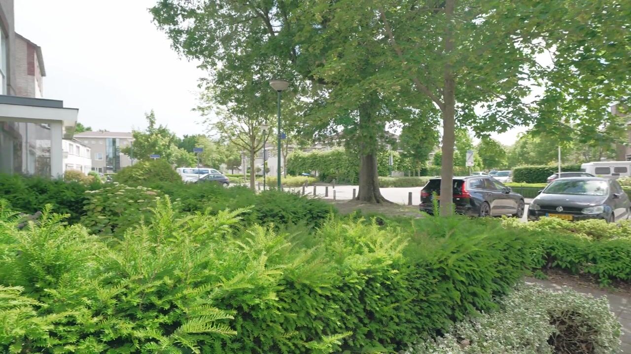 Video van Roulet 31