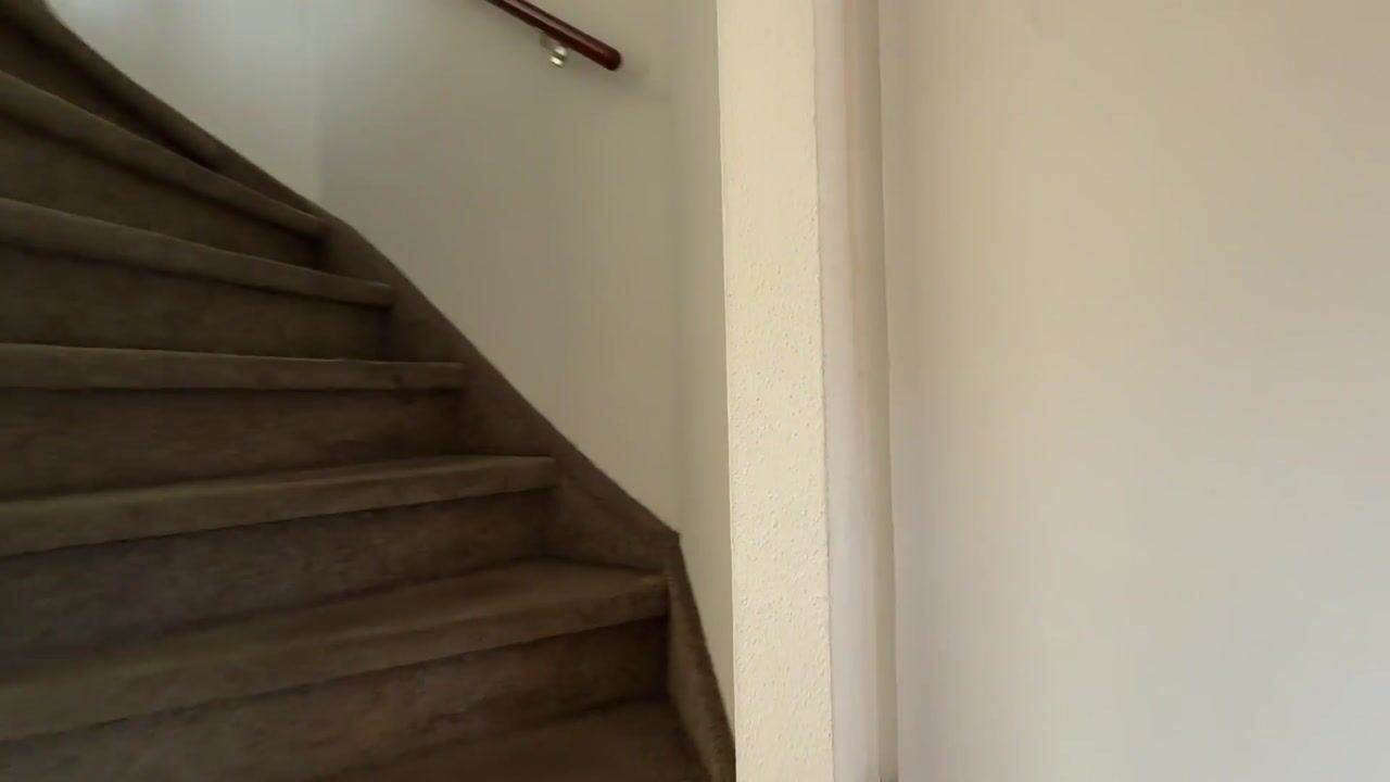 Video van Vivaldistraat 168