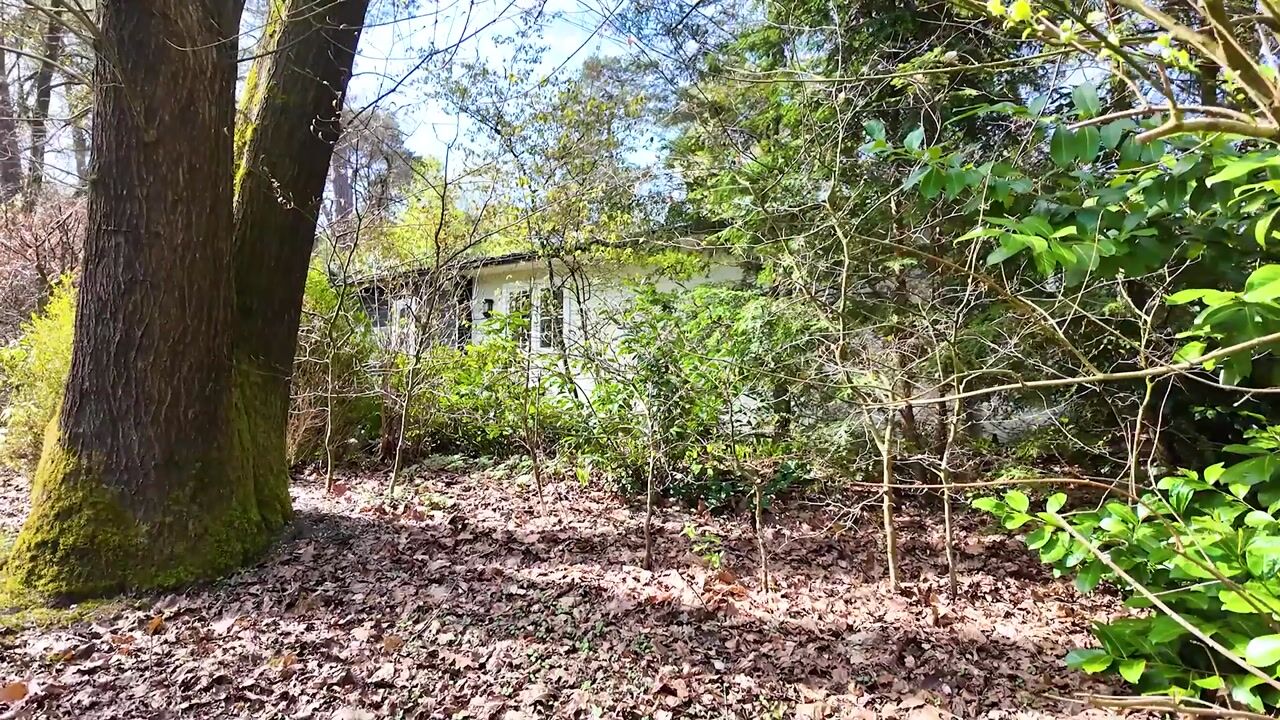 Video of Lage Bergweg 41-81