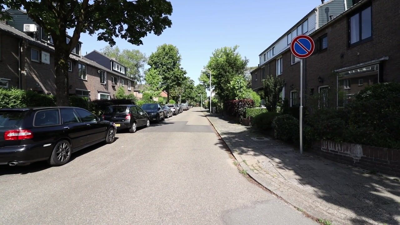Video van Rembrandtlaan 22