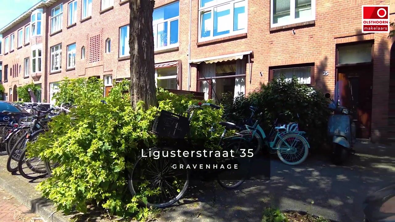 Video van Ligusterstraat 35