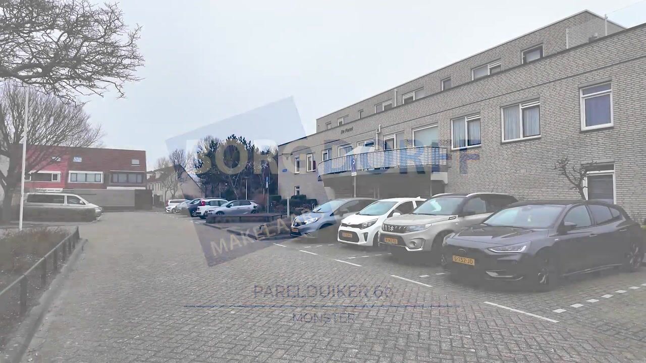 Video van Parelduiker 60