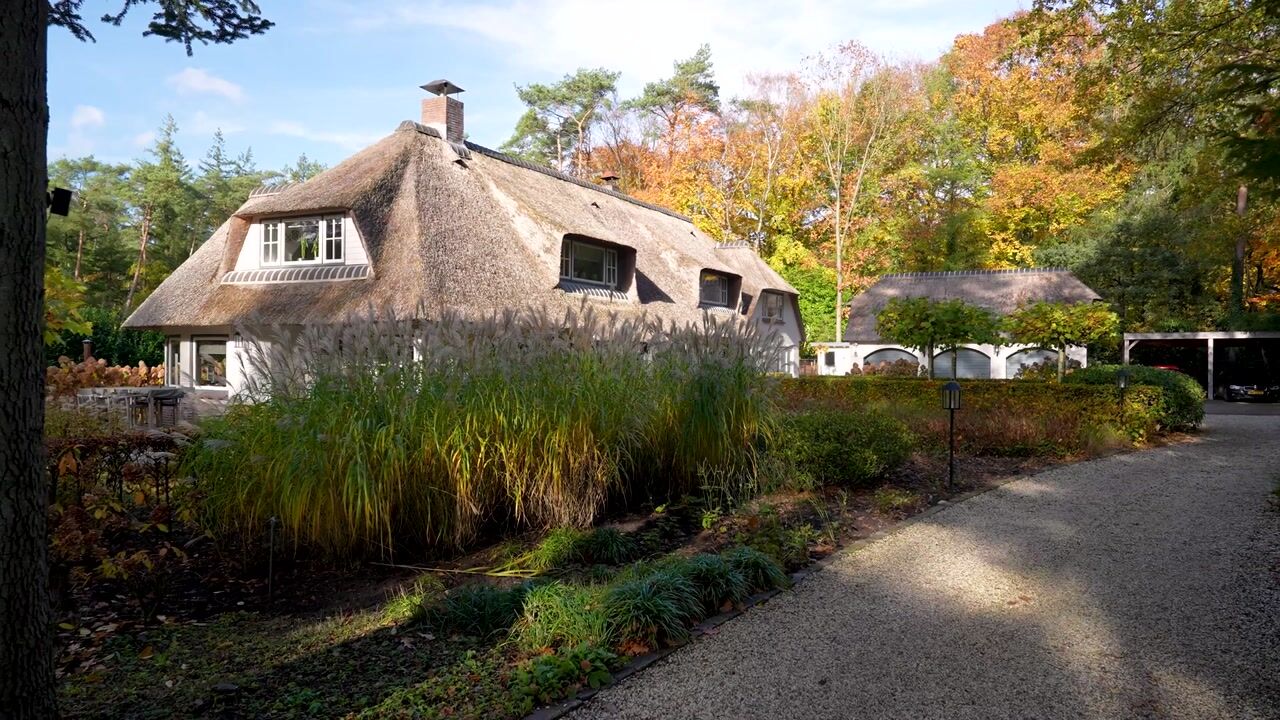 Video of Vijverlaan 53