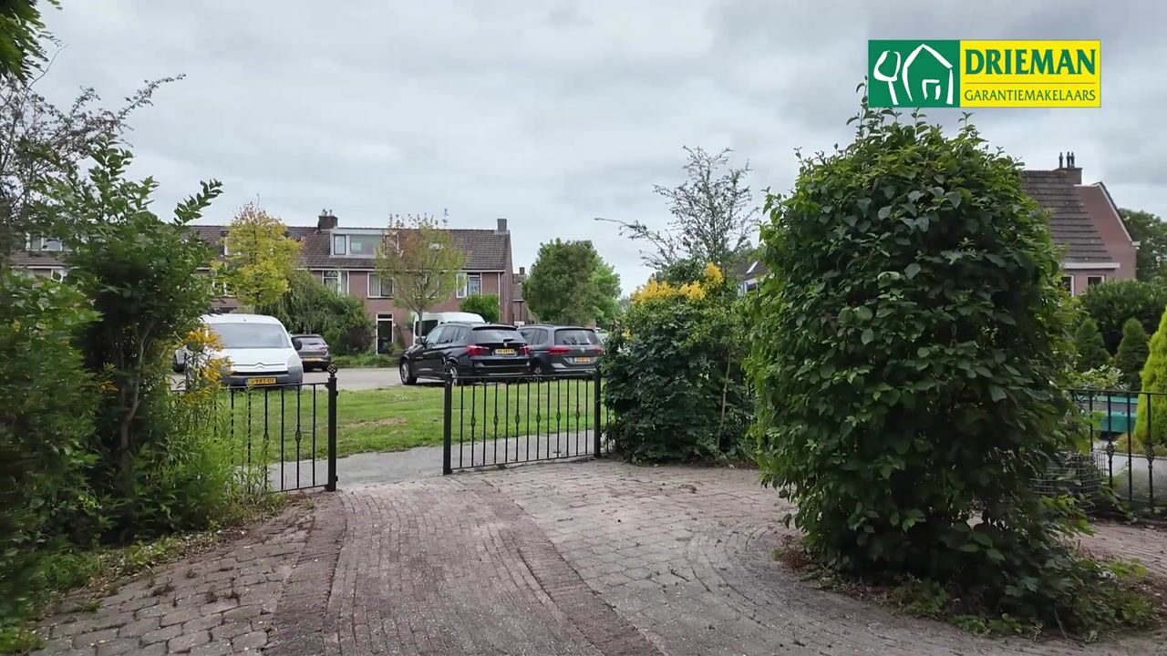 Video van Goudplevier 35