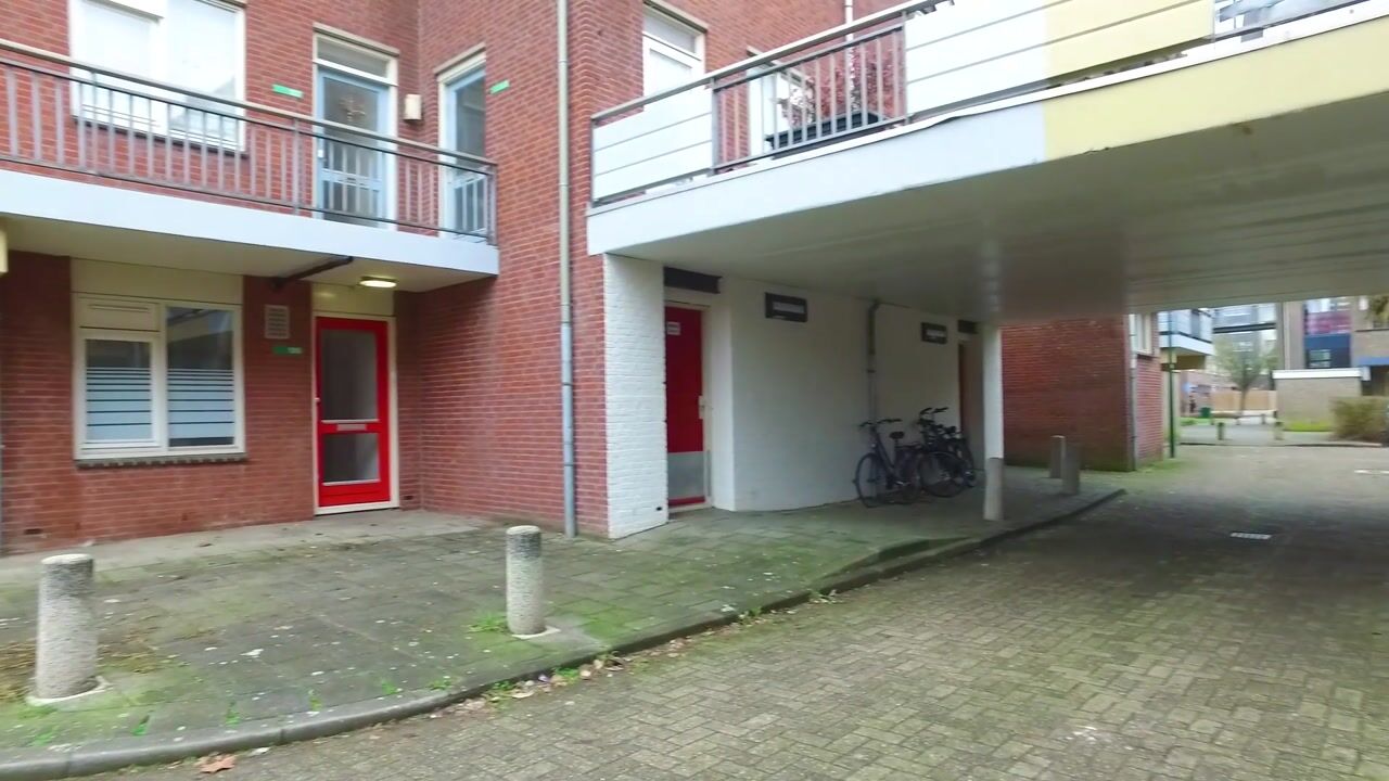 Video of Antilopespoor 186