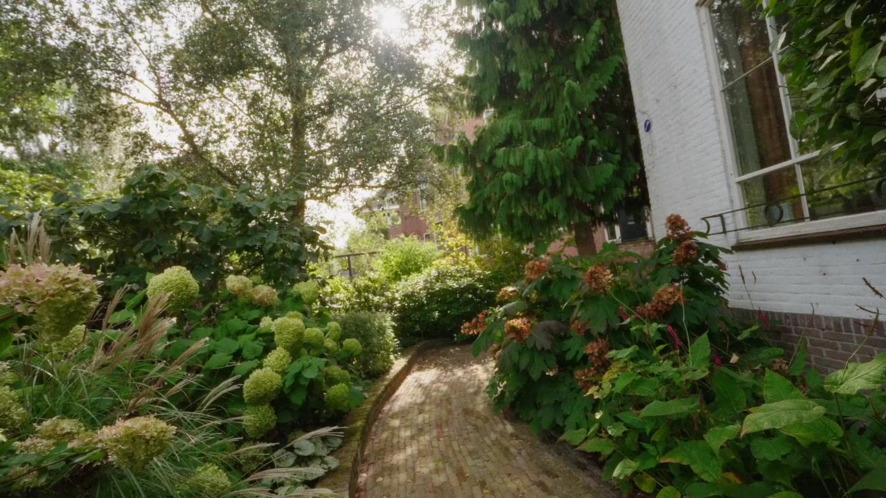 Video van Waldeck-Pyrmontlaan 10