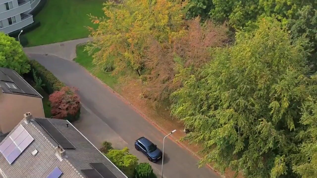 Video of Auwerhofstraat 29