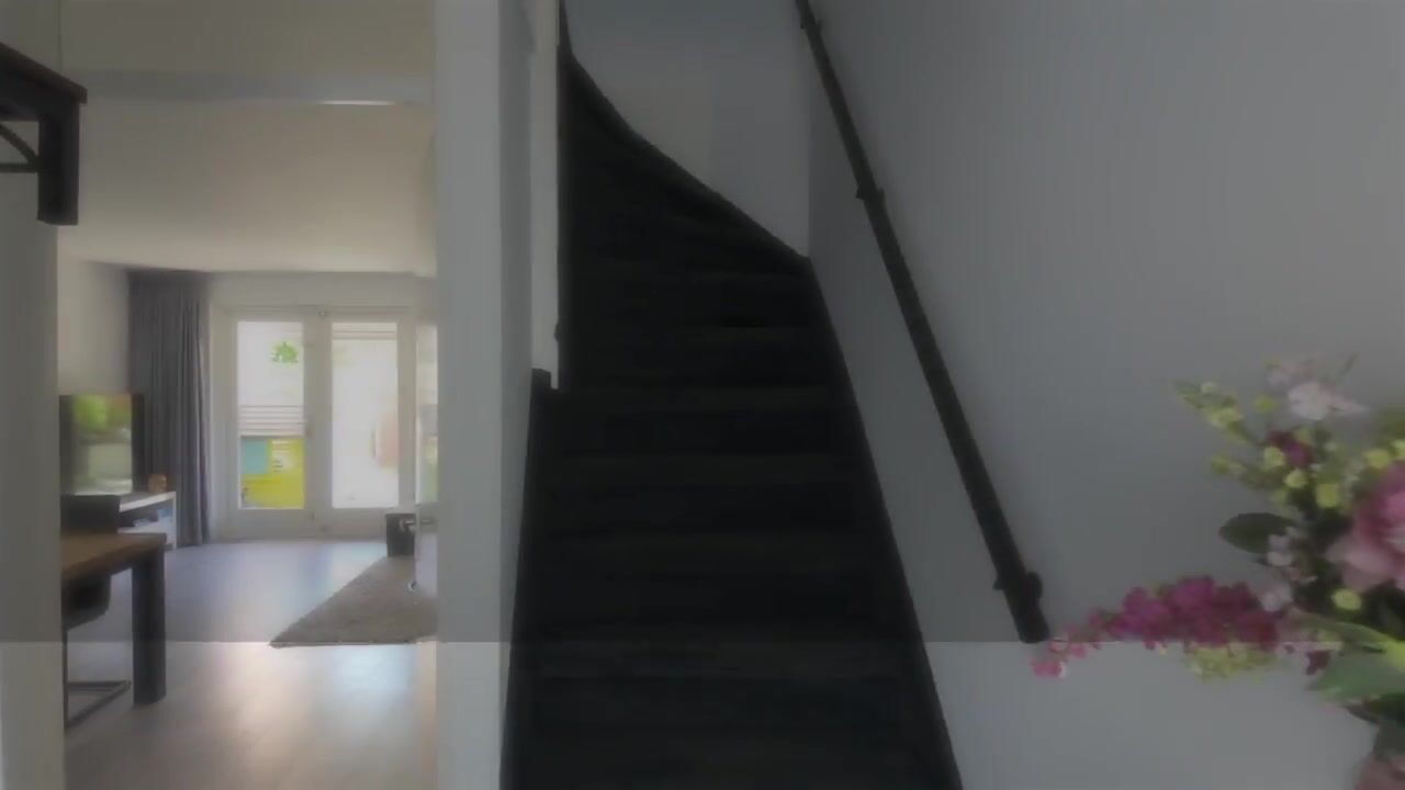 Video van Rozemarijn 3