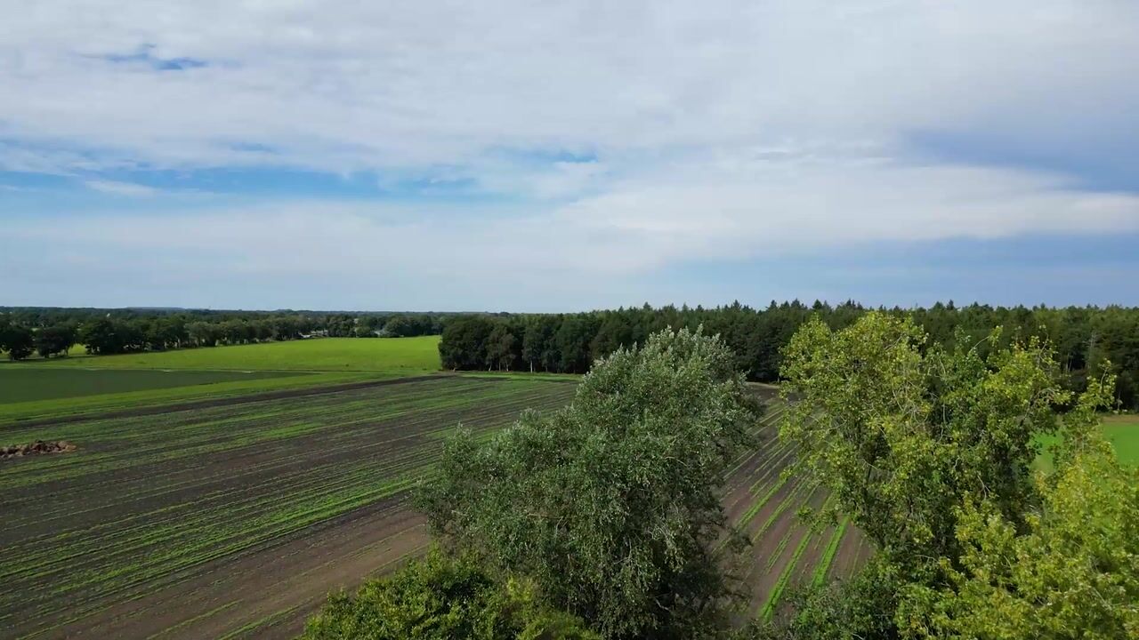 Video van Oldeveen 5