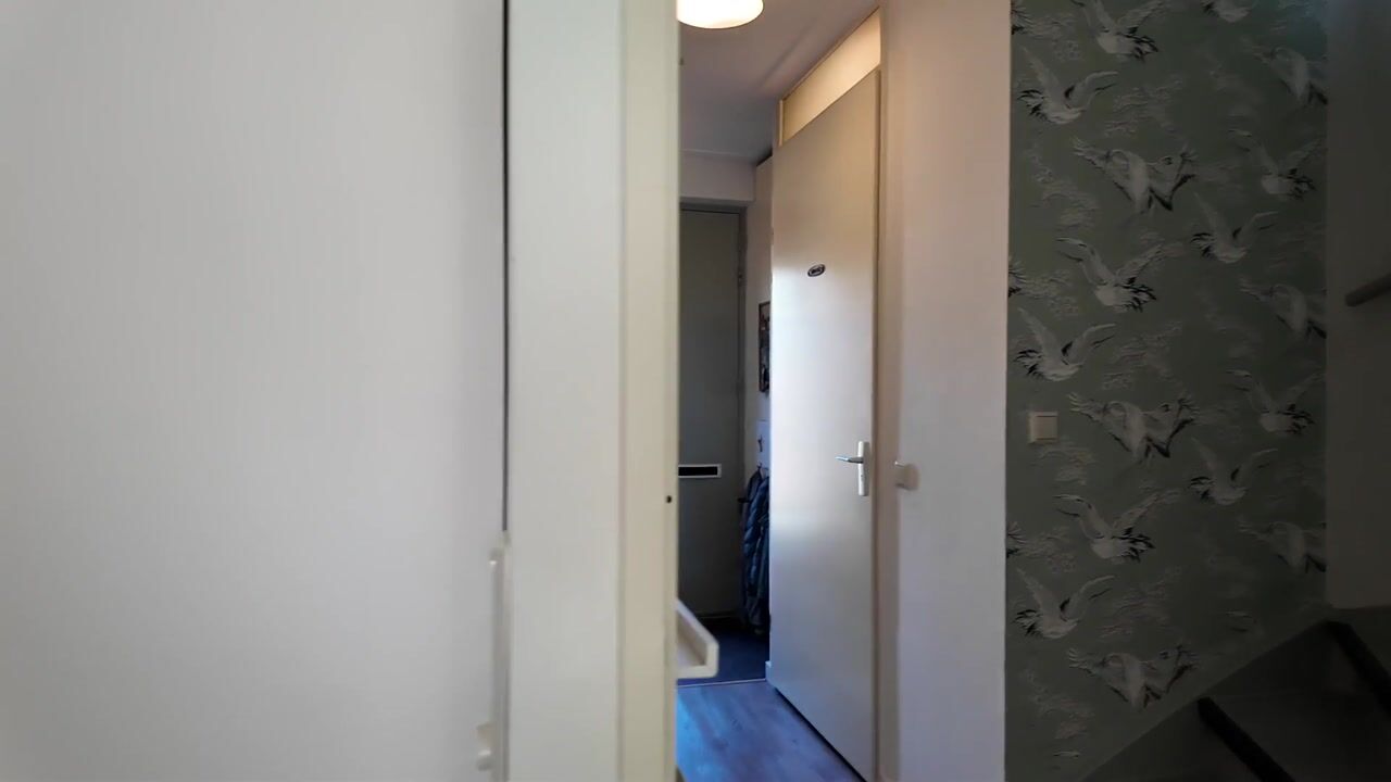 Video van Midgard 74