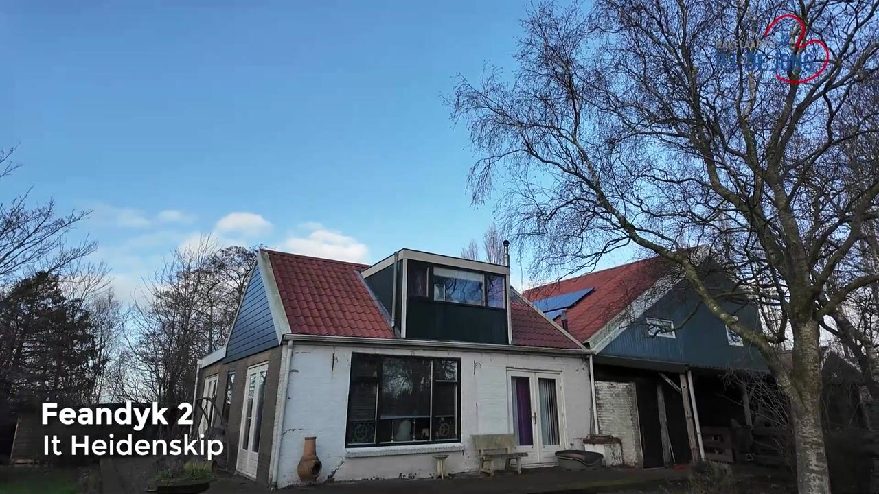 Video van Feandyk 2
