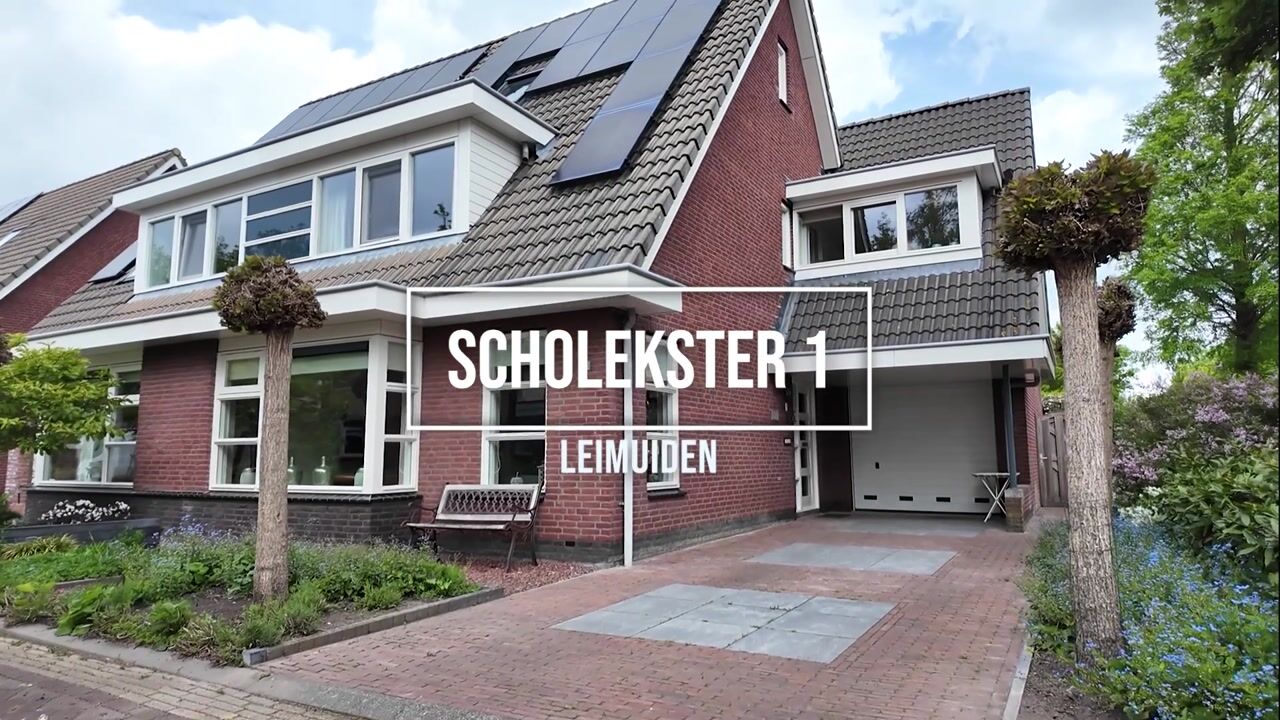 Video of Scholekster 1