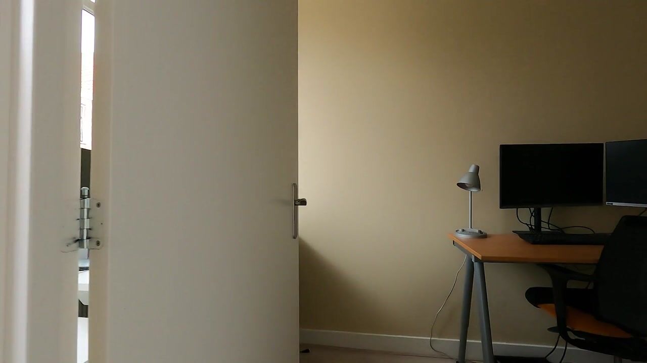 Video of Heeswijkstraat 56