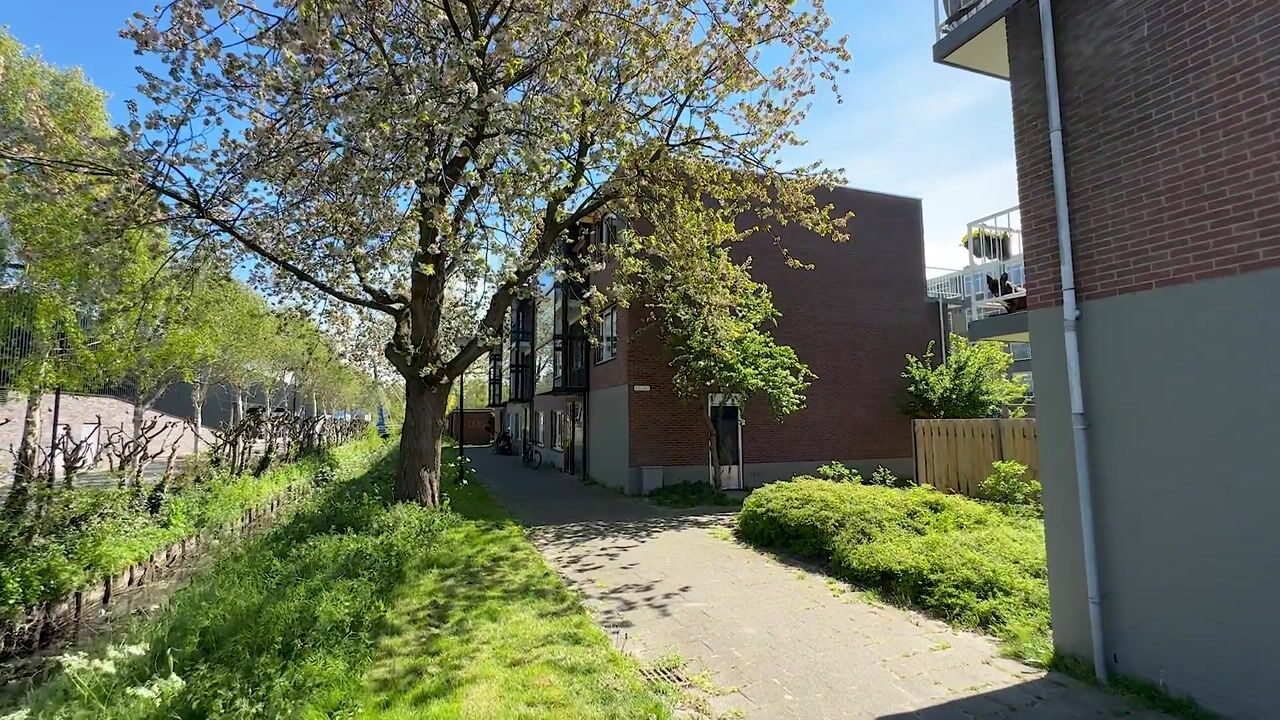 Video of van Borsselestraat 39
