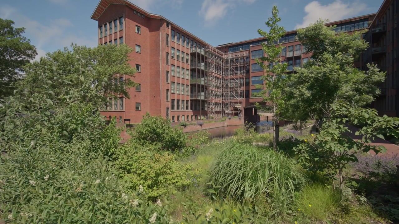 Video van Plesmanweg 573