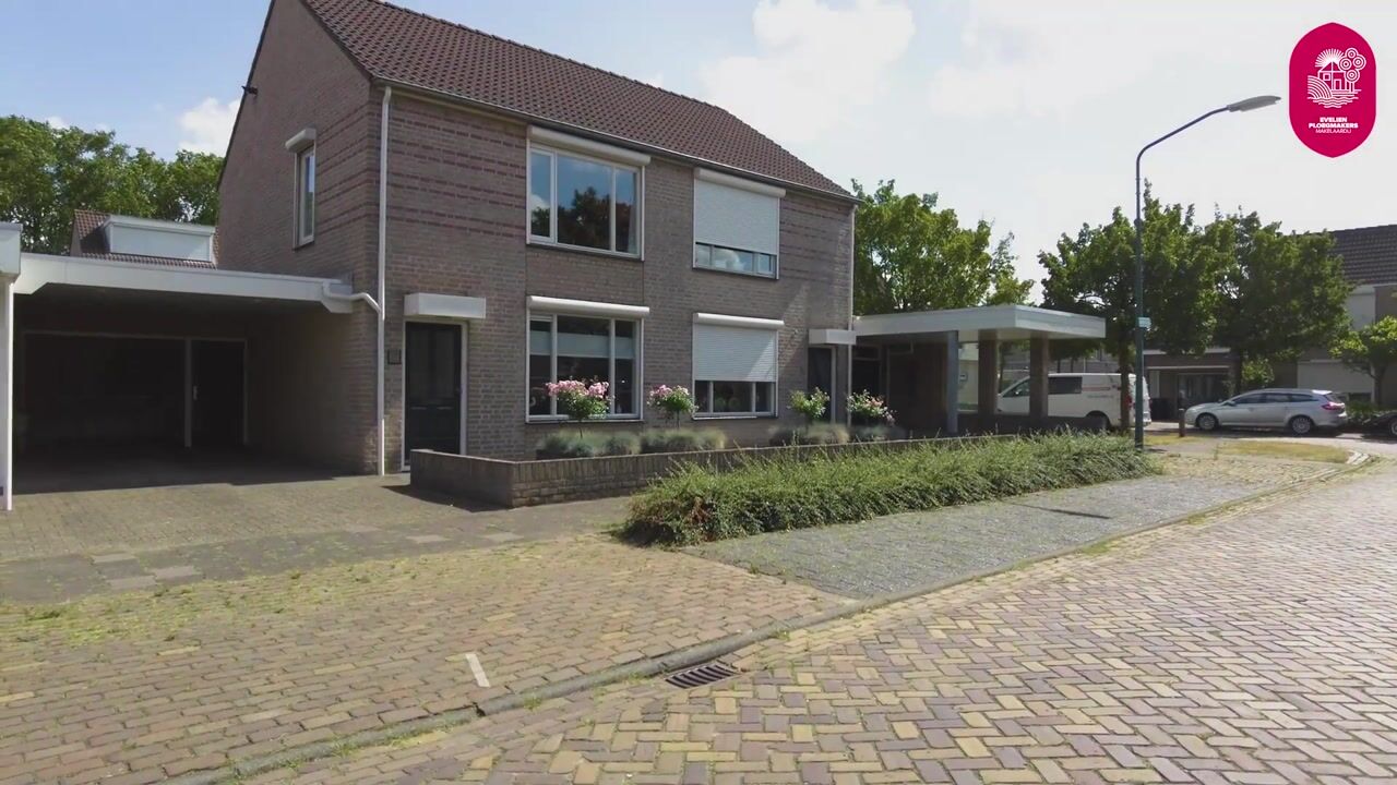 Video of Wanmolen 12