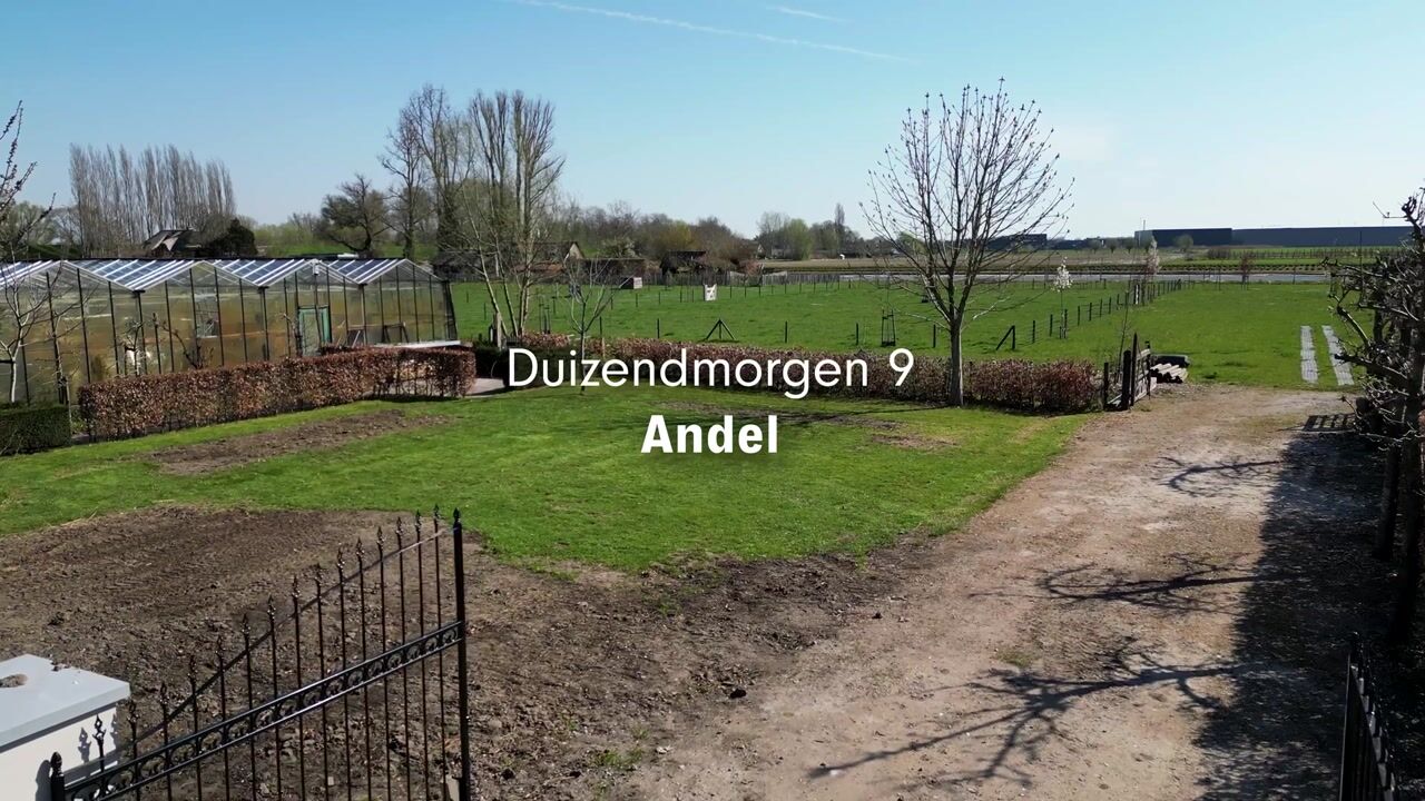 Video van Duizendmorgen